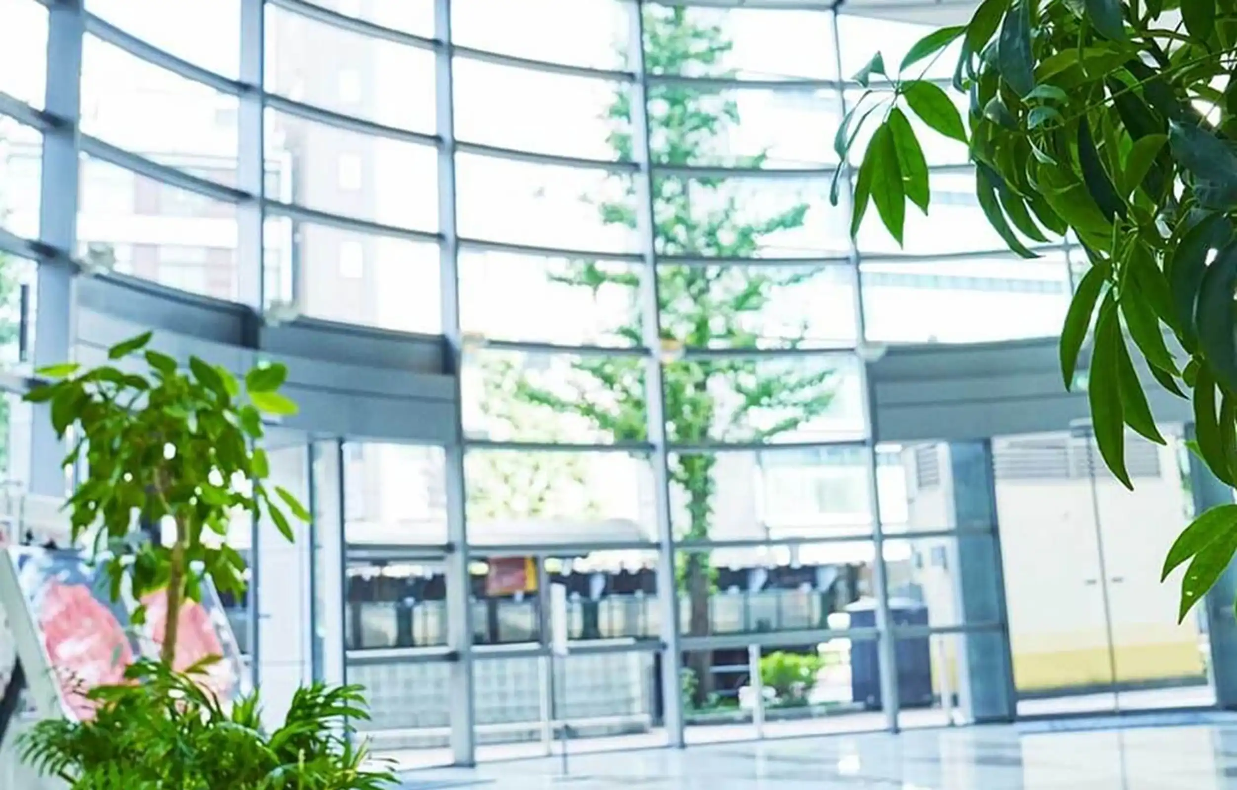 Img Ajinomoto Hero 2 About