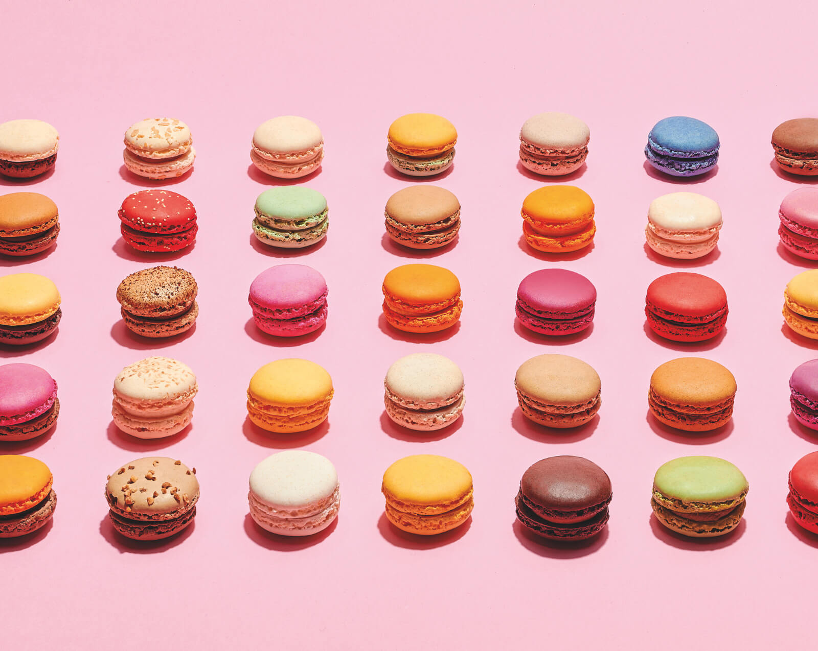 Castelsarrasin Les Premiers Macarons