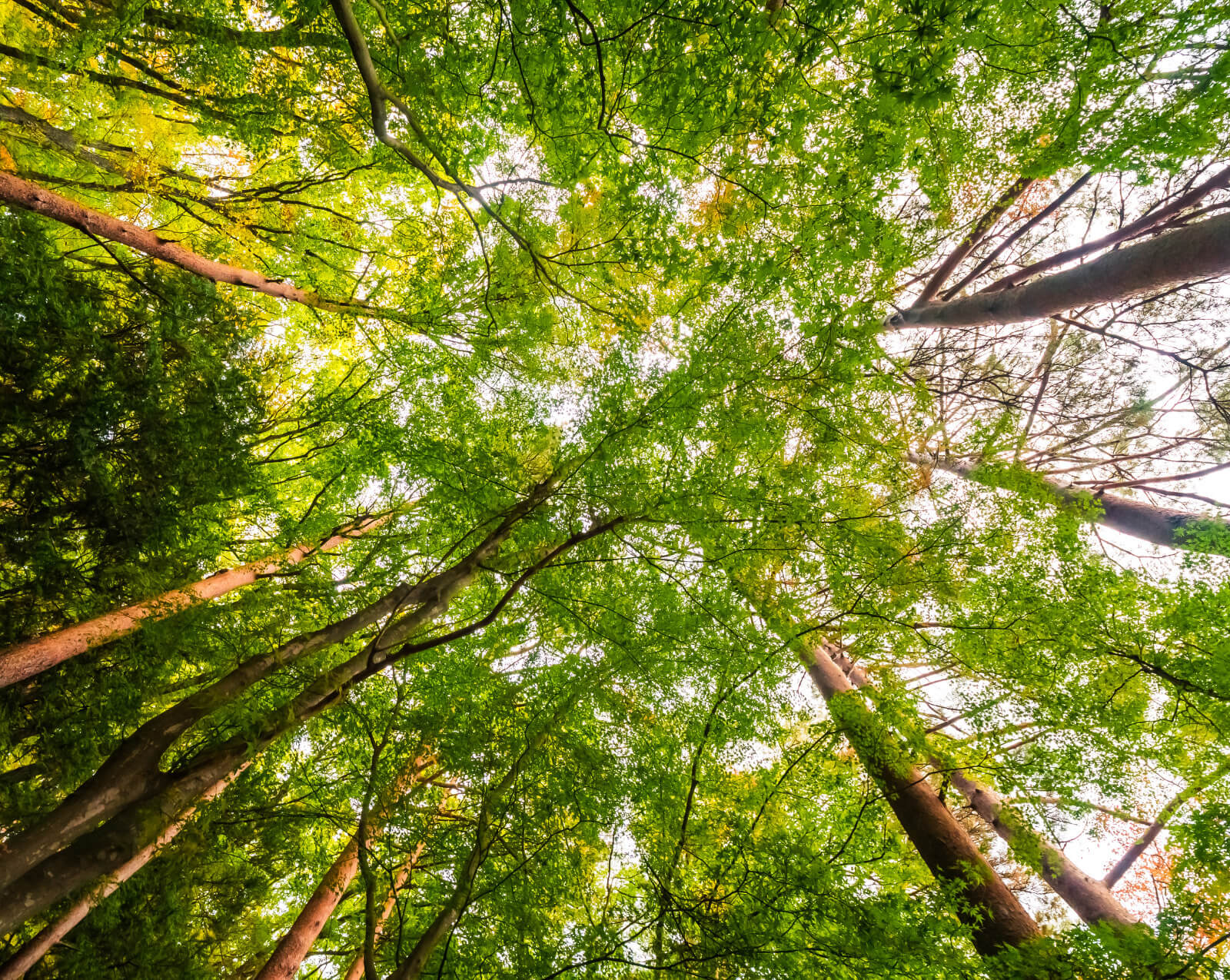 Le Neubourg Proposer Une Offre