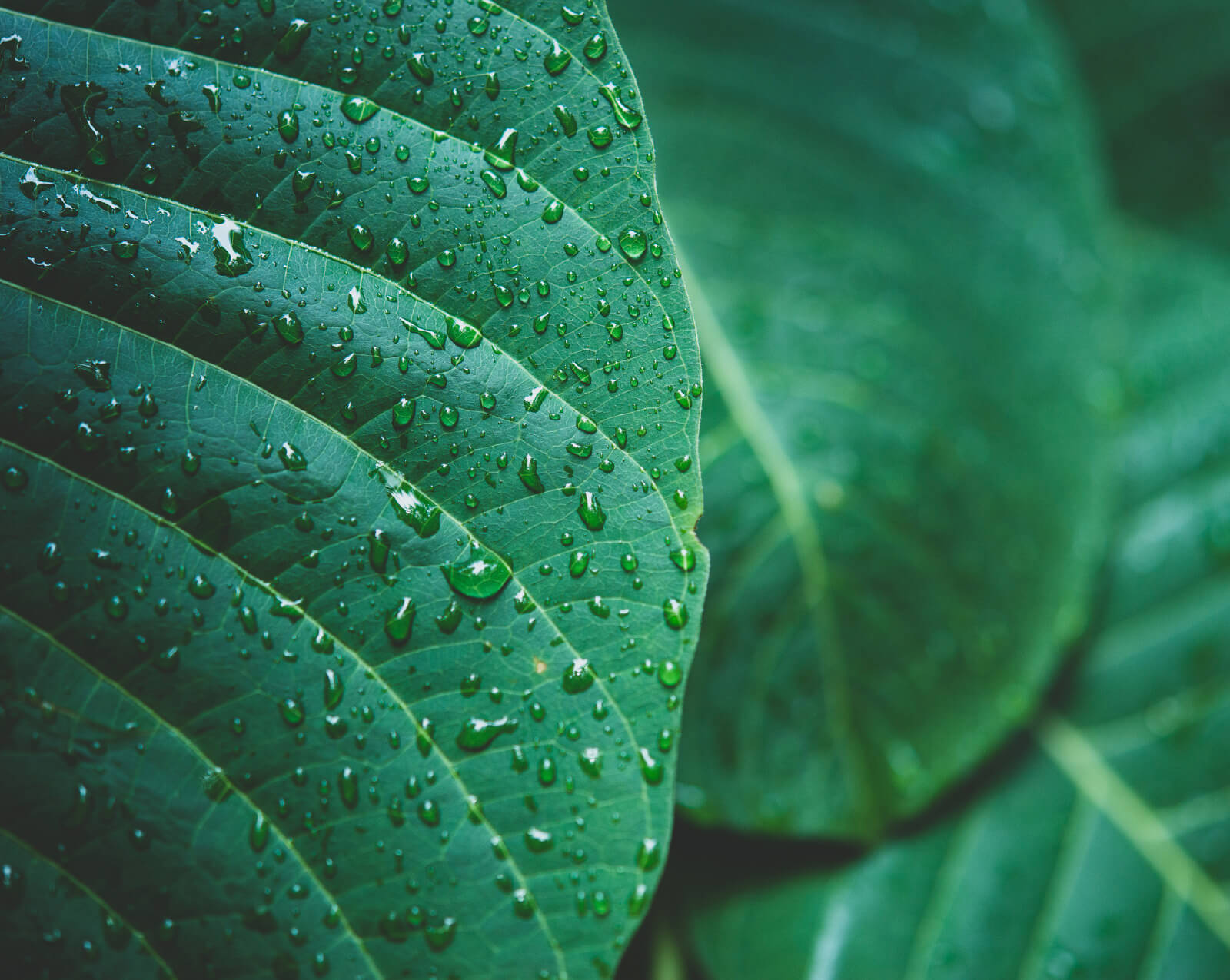 Le Neubourg Réduire Nos Consos